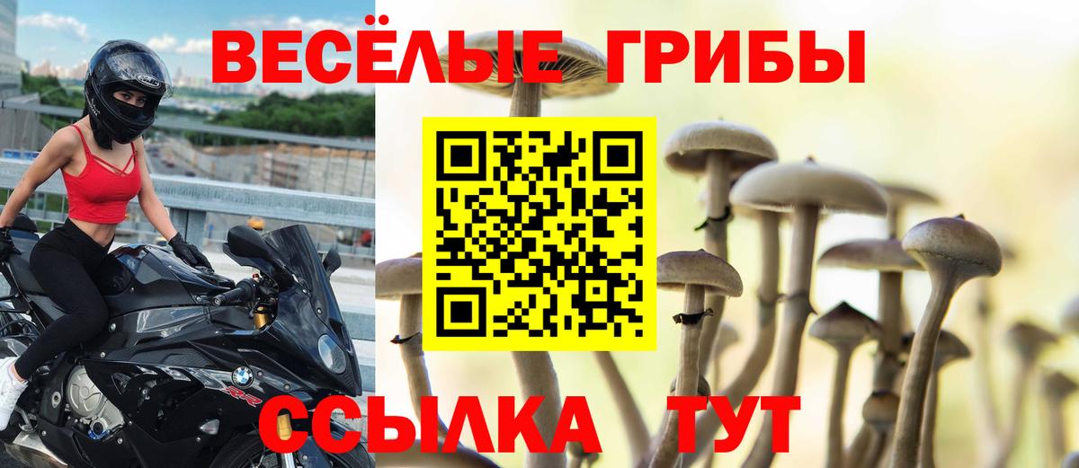 Псилоцибиновые грибы Cubensis  что такое наркотик  Псилоцибиновые грибы Psilocybe  Набережные Челны  Вход с VPN 